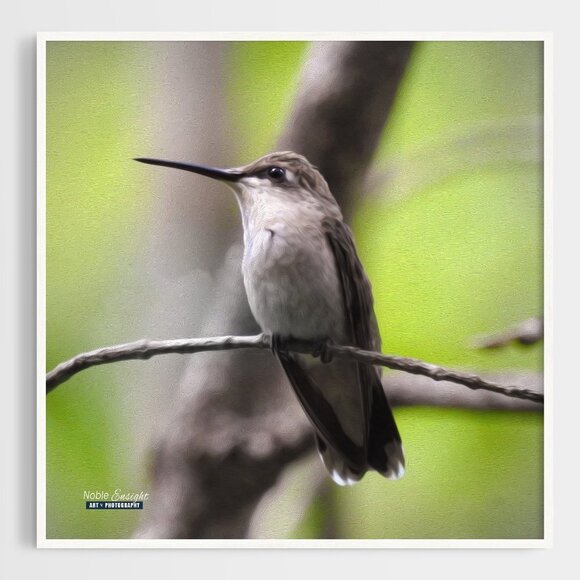 Hummingbird Gorgeous Oil Painting Art Photography Print - Picture 2 of 5